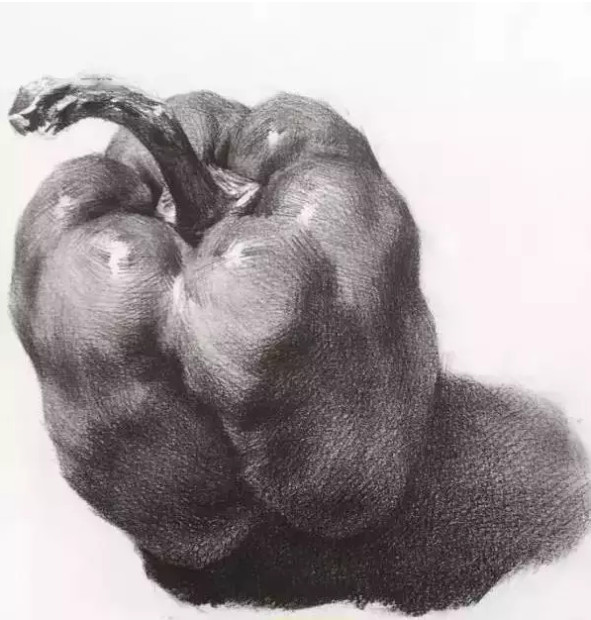 联考最爱考素描静物,你都会嘛?