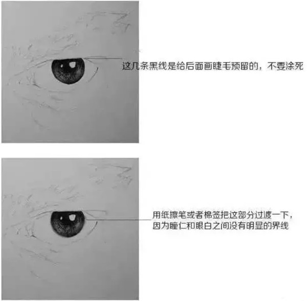 素描眼睛画法教程