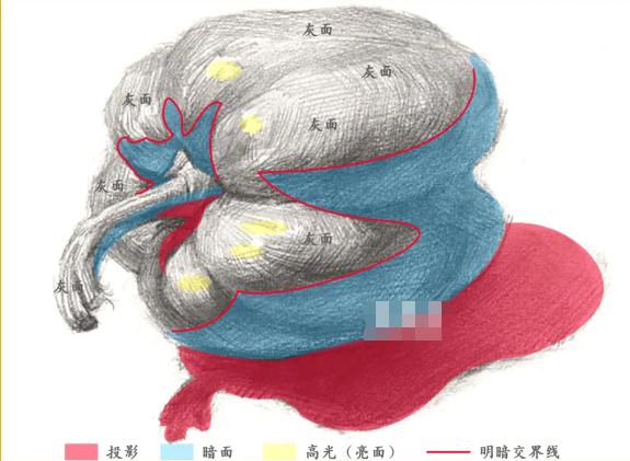 广州画室,广州素描培训画室,广州艺考画室,08