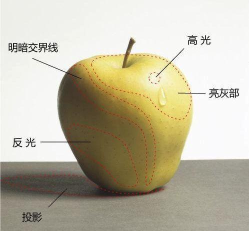 广州画室教你用纸巾擦出来调子，效果独特，立体感强,08