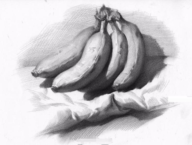 广州画室教你用纸巾擦出来调子，效果独特，立体感强,13