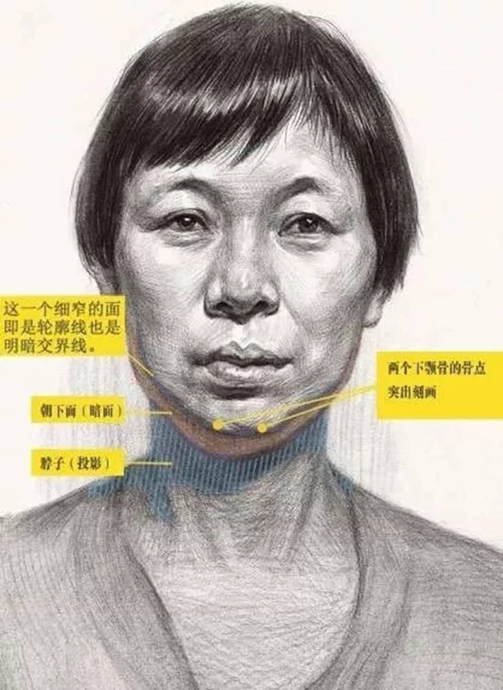 广州画室整理：别以为正面人物头像很容易，画不好联考恐怕要凉,05