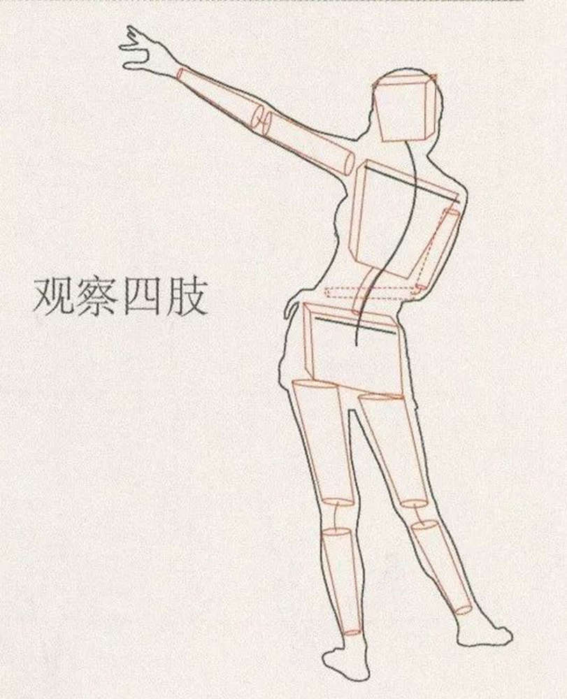 广州画室超强干货丨速写抓形老不准的看过来,16