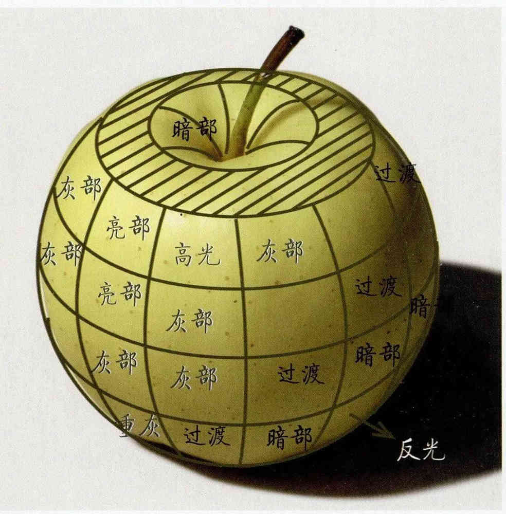 广州画室给你整理联考考题常客：《果蔬类静物》的刻画方法,03