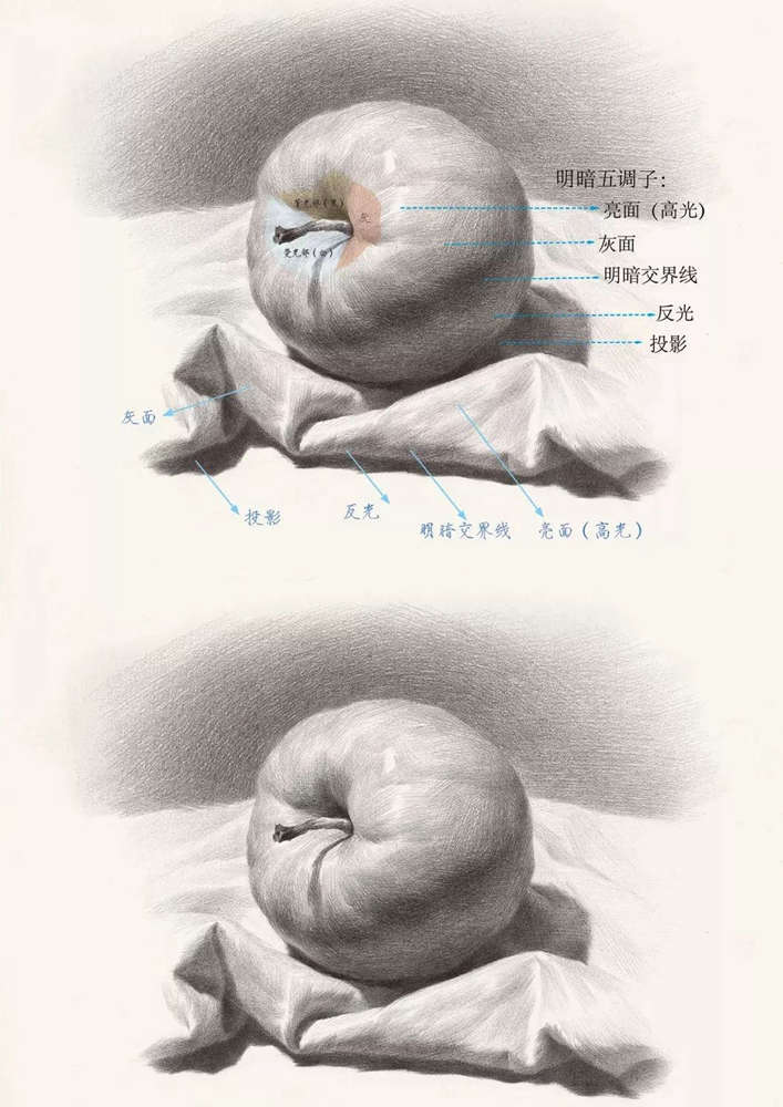 广州画室给你整理联考考题常客：《果蔬类静物》的刻画方法,06