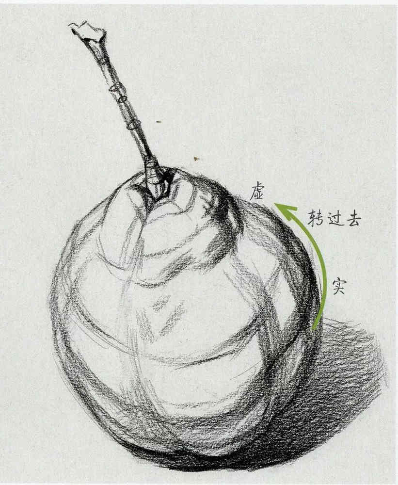广州画室给你整理联考考题常客：《果蔬类静物》的刻画方法,20