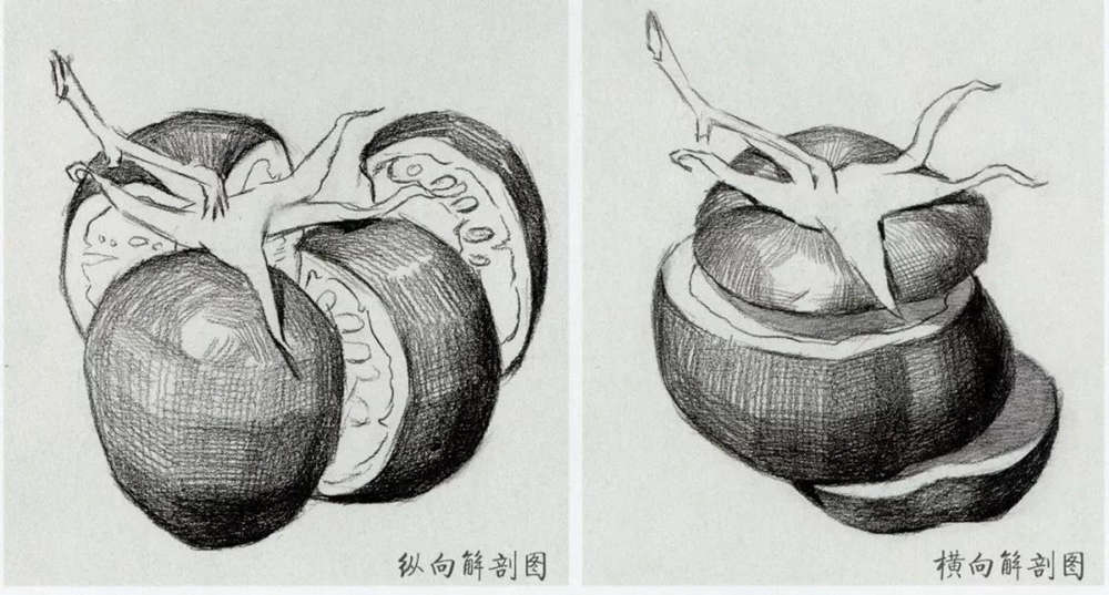 广州画室给你整理联考考题常客：《果蔬类静物》的刻画方法,30