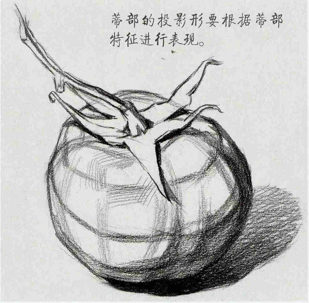 广州画室给你整理联考考题常客：《果蔬类静物》的刻画方法,32
