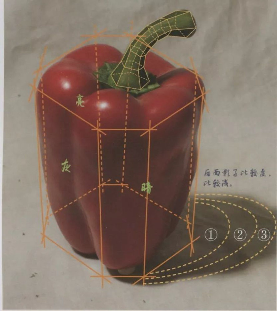 广州画室给你整理联考考题常客：《果蔬类静物》的刻画方法,37