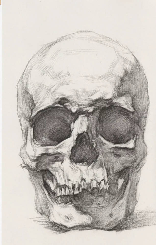广州画室超强干货丨从结构学习素描头骨的刻画细节,04