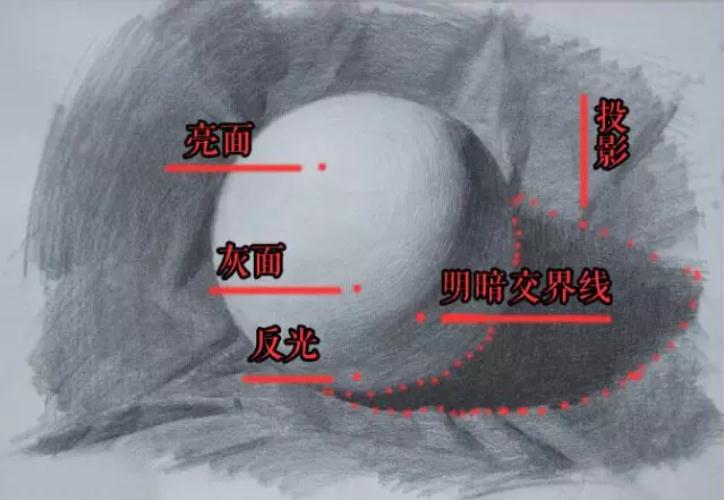 学素描之前，广州画室觉得这些知识点你必须得懂,05