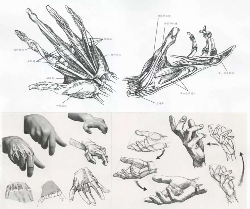 广州十大排名画室的小编教你深入刻画速写的手部、脚部和鞋,01