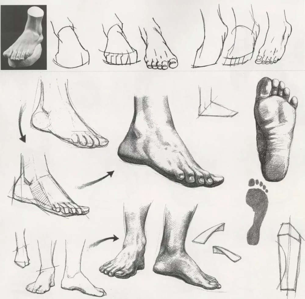 广州十大排名画室的小编教你深入刻画速写的手部、脚部和鞋,11