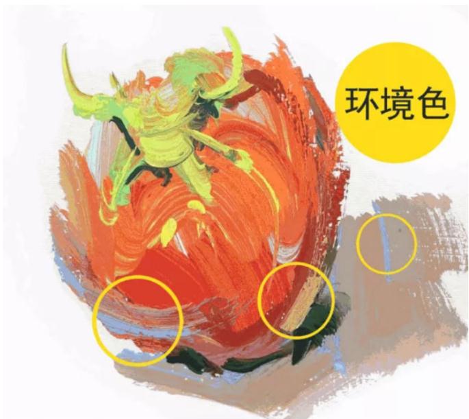 色彩静物环境色什么鬼？要如何把握？广州画室给你揭秘,01