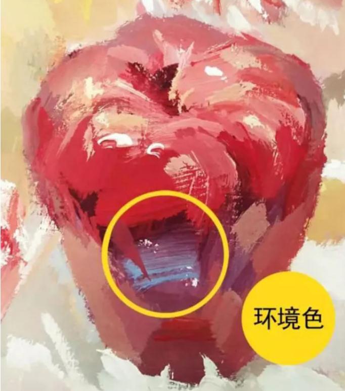 色彩静物环境色什么鬼？要如何把握？广州画室给你揭秘,02