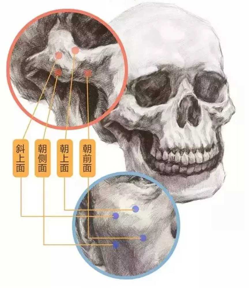 广州画室觉得素描头像结构画对了，高分就有了,05