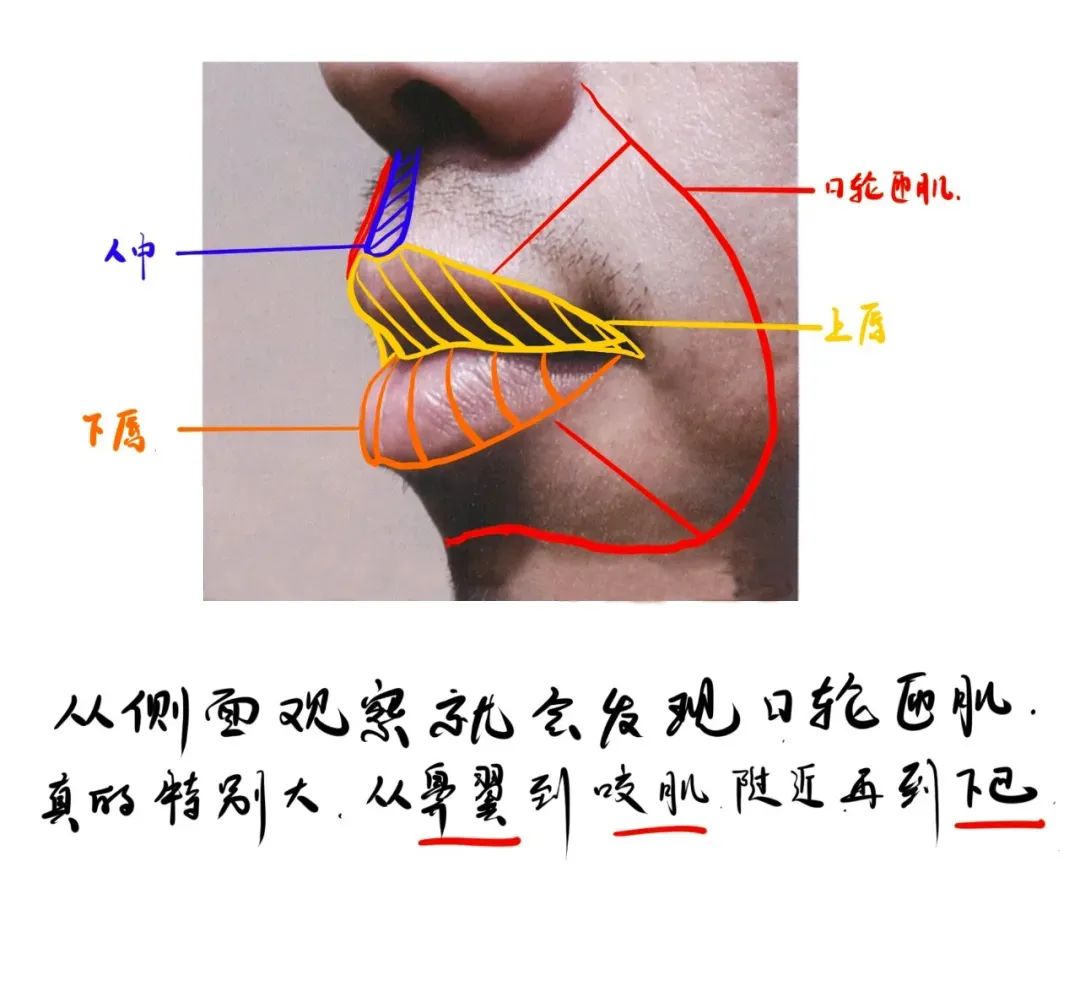 广州画室找到你素描头像得分低的原因了,03