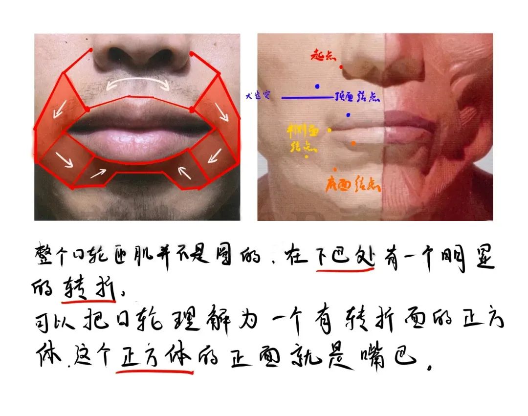 广州画室找到你素描头像得分低的原因了,05