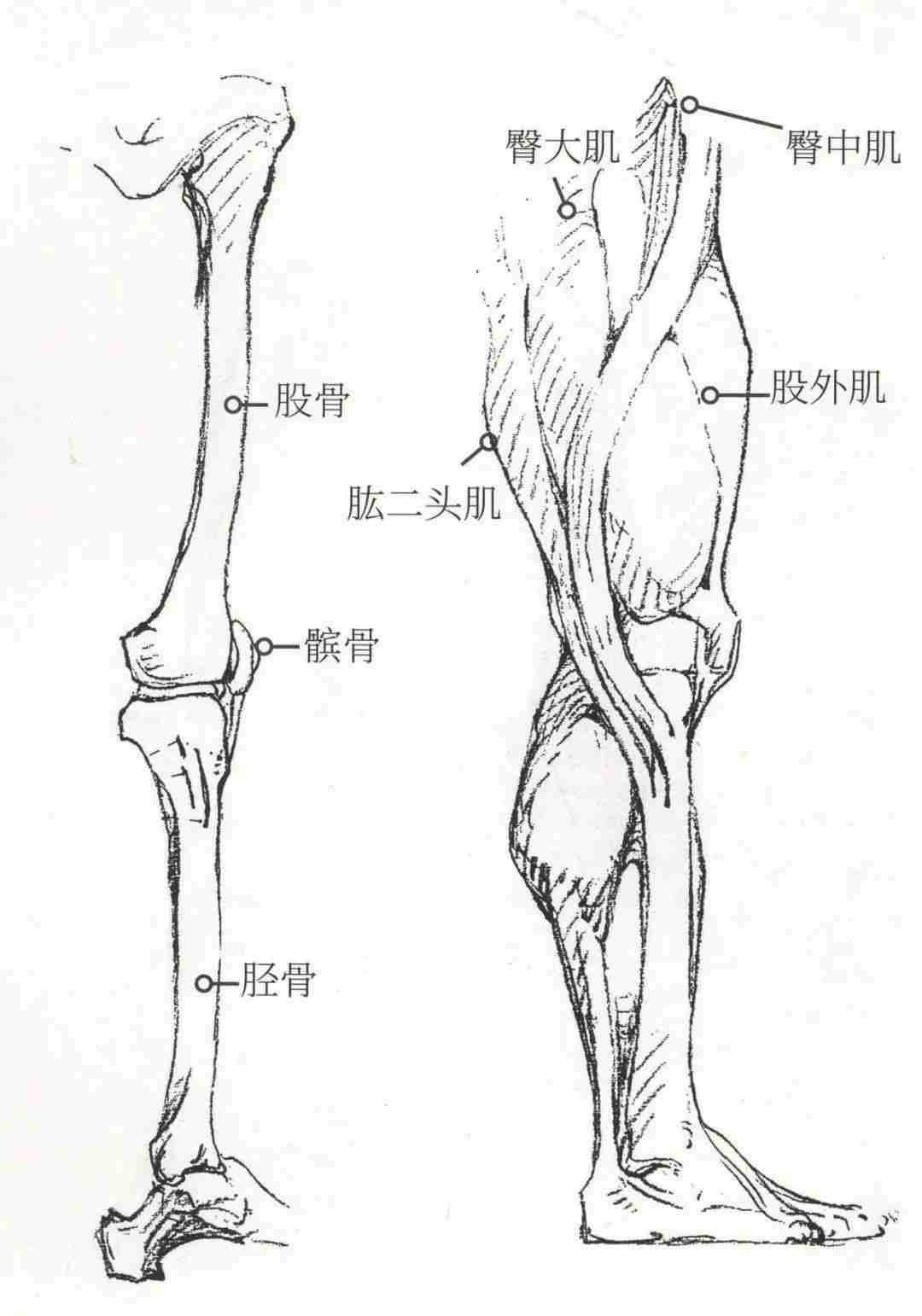 马上校考了，速写下肢不会画的赶紧看看广州画室老度的宝库附图4