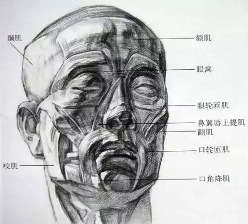 广州画室老度整理了非常实用的素描九大技巧，你会几种！附图11